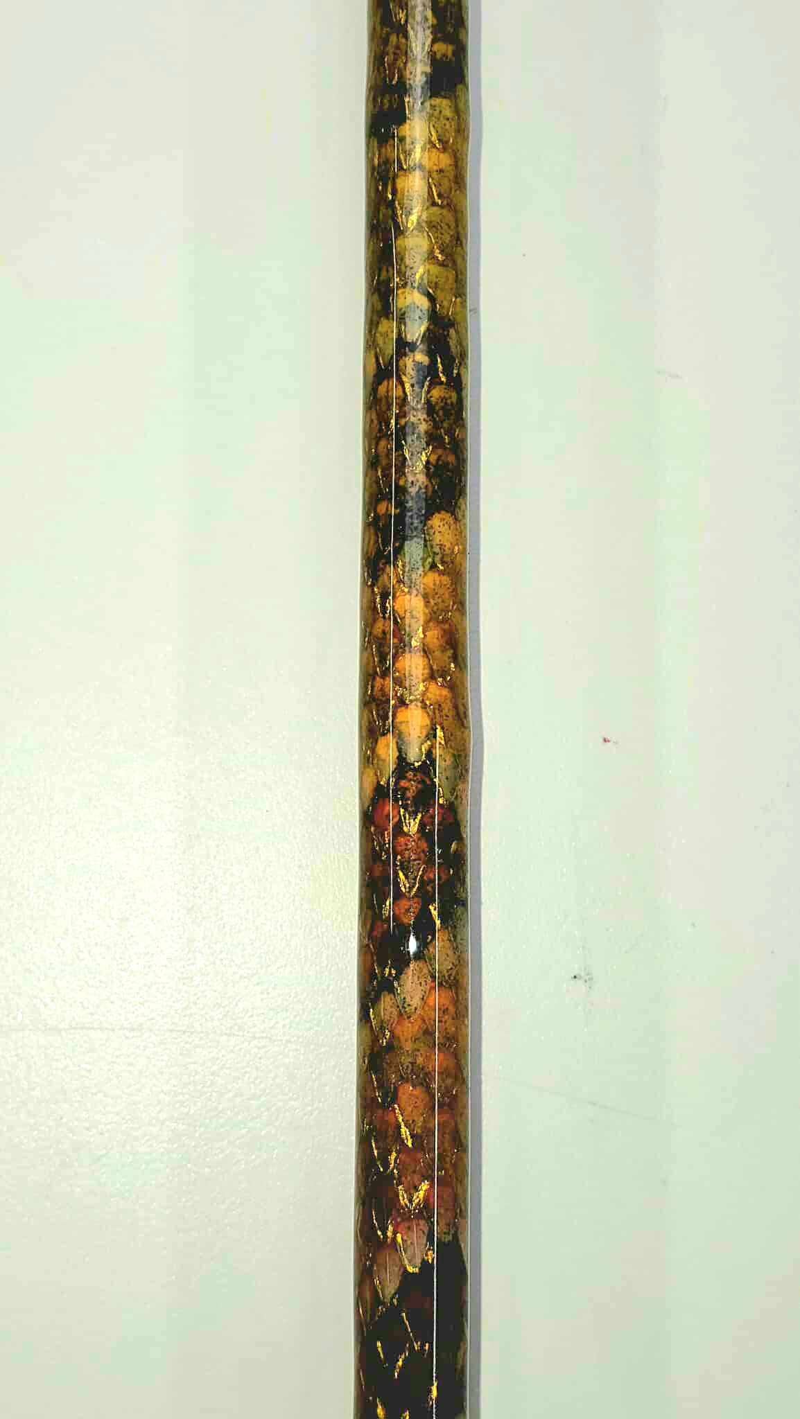 Dragon Themed Spinning Rod